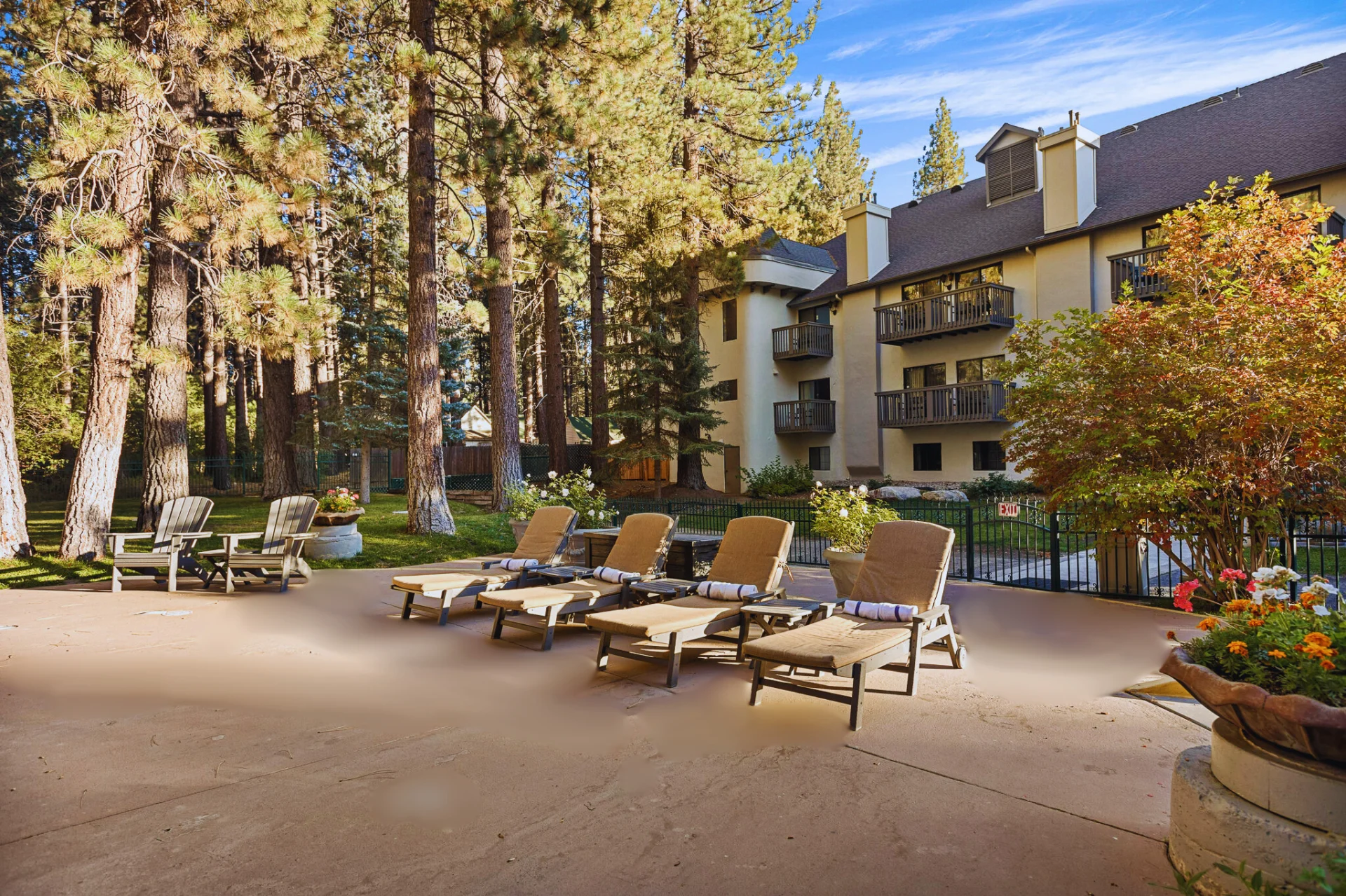 pool area lounge chairs